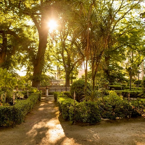 Jardín de San Carlos