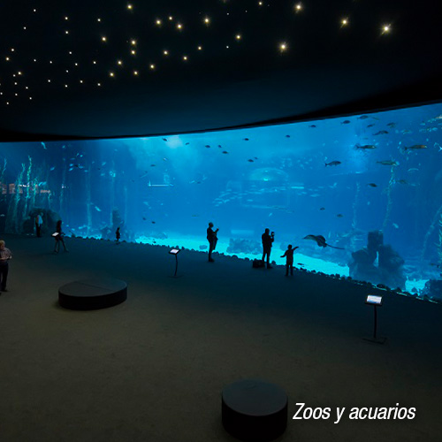 Zoos y acuarios-1
