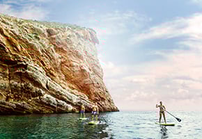 banner-290x200-LP-RMU-3