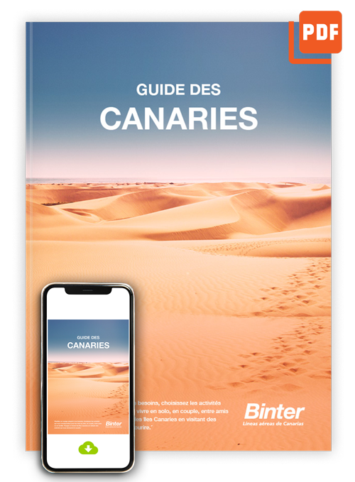 canarias_francia_ebook