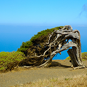 El Hierro