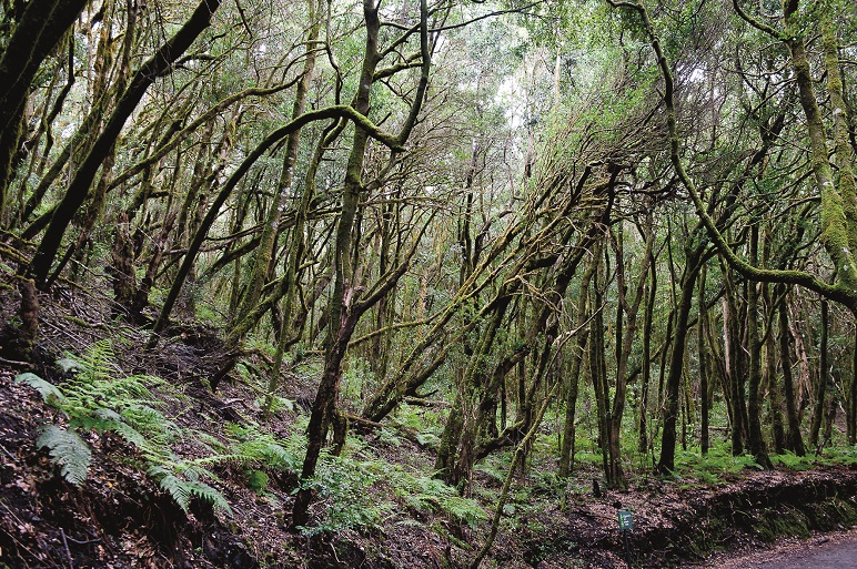La Gomera