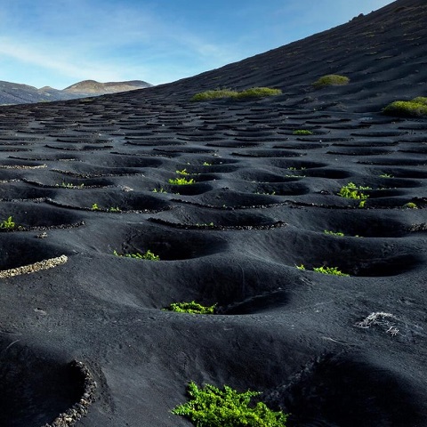 Lanzarote
